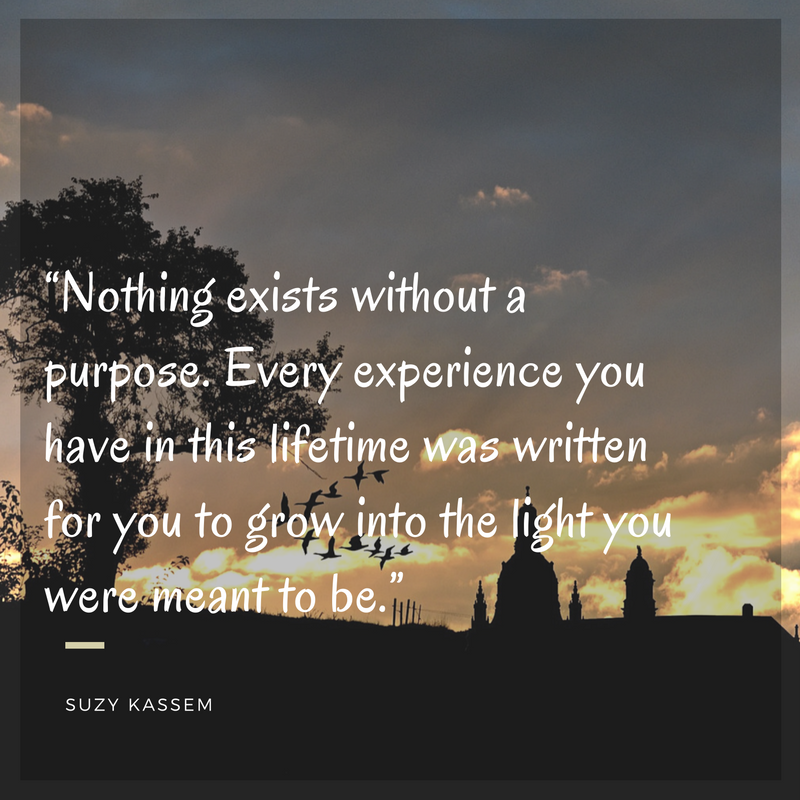 Nothing Exists Without A Purpose
