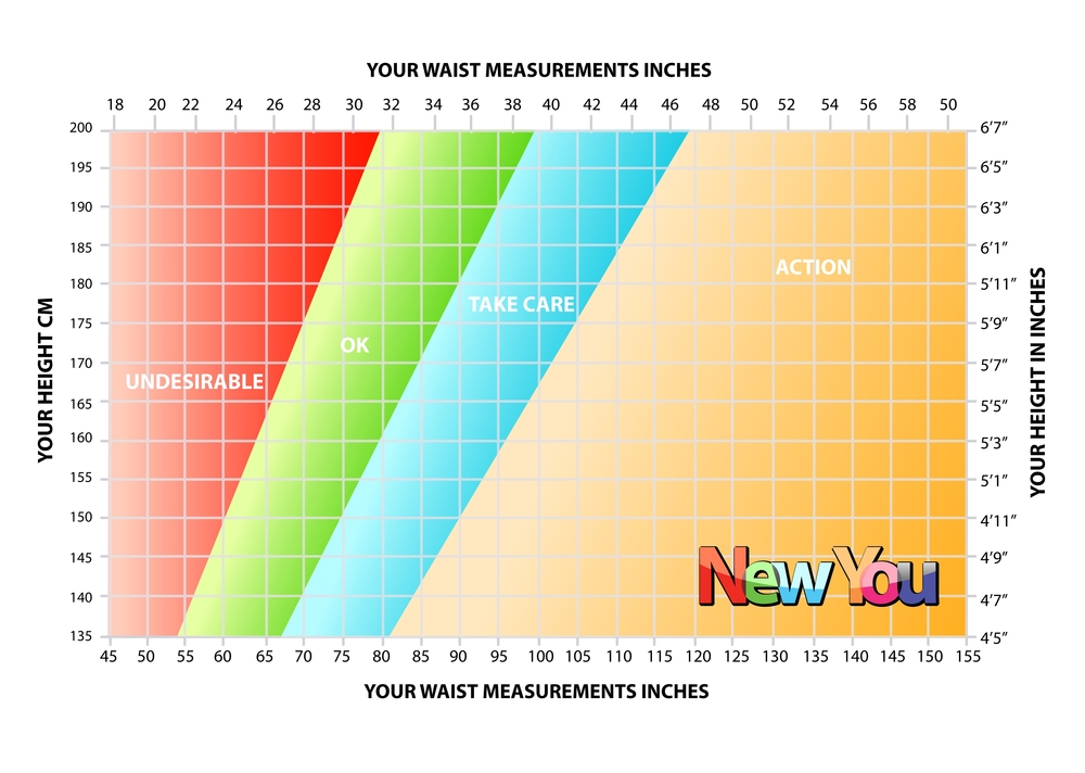 Waist Measurements