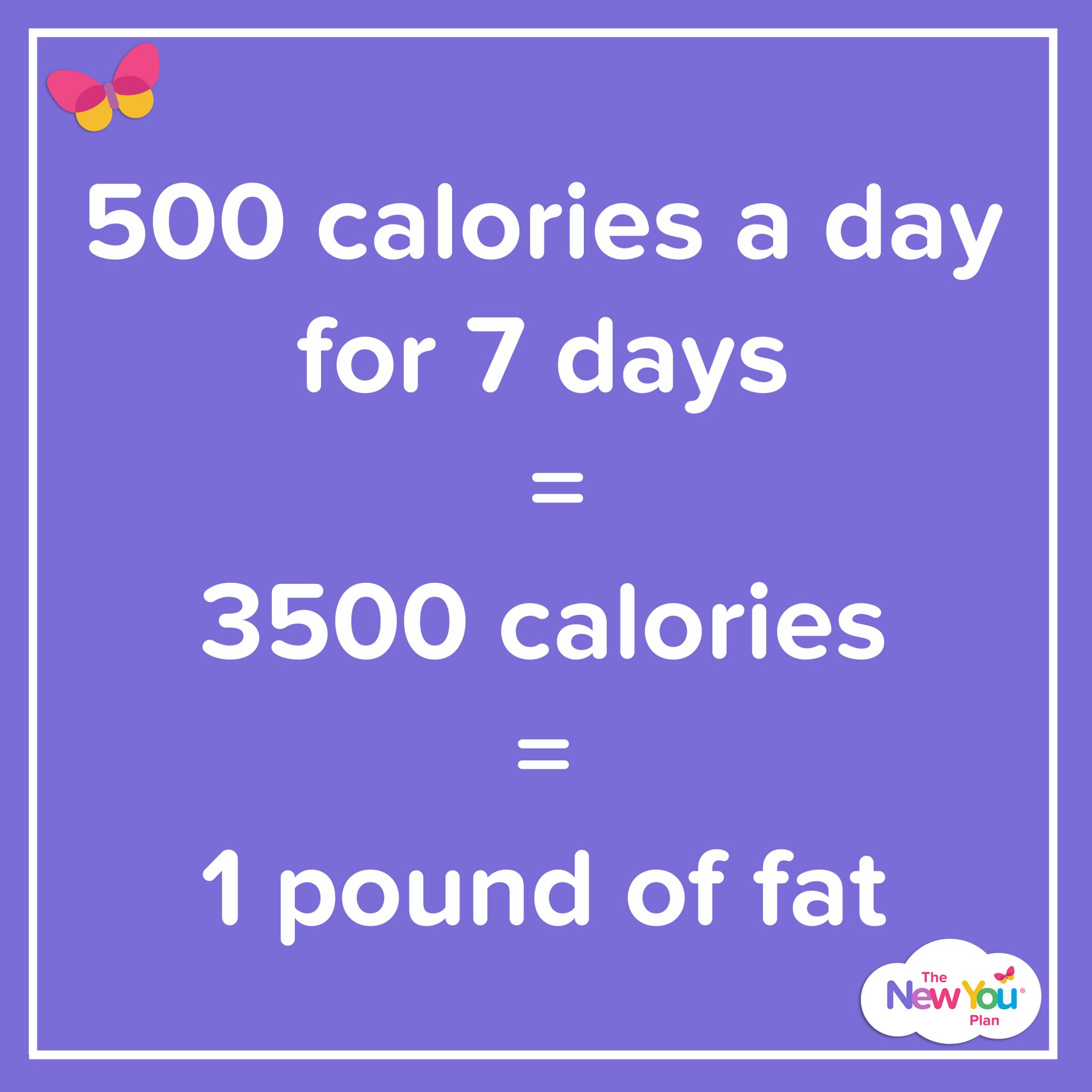 What Happens If You Only Eat 500 Calories A Day - gvitdpq