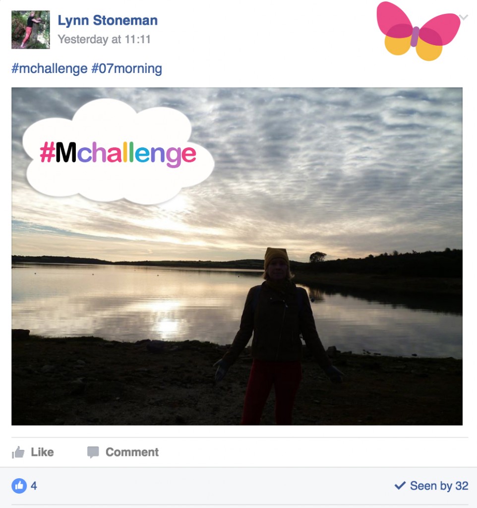 lynn-mchallenge-2