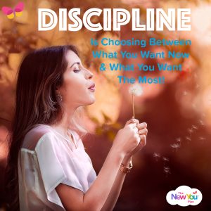 Discipline